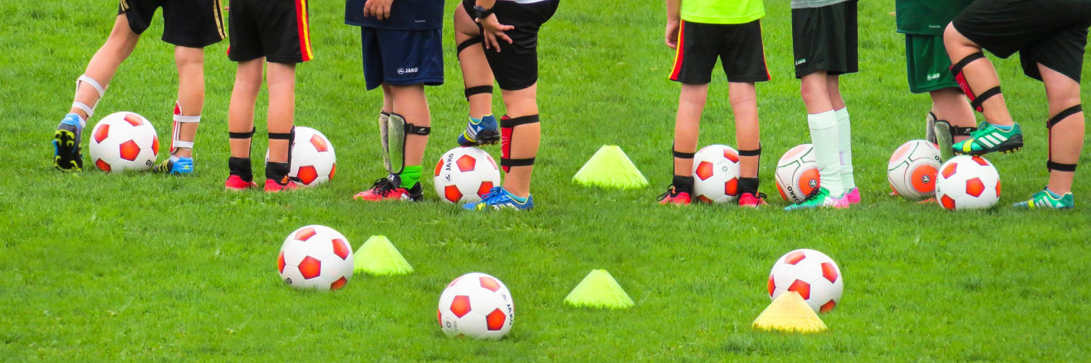 Agility Assessment
